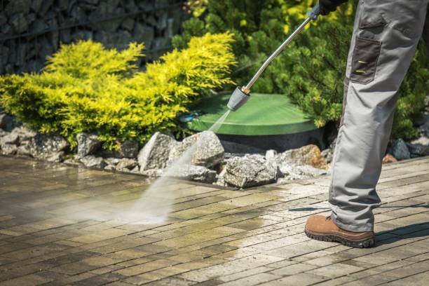 Best Driveway Pressure Washing  in Bozeman, MT